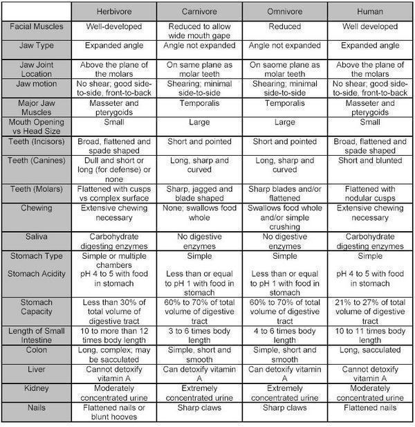 Human Meat Chart