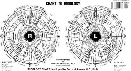 chart iridology